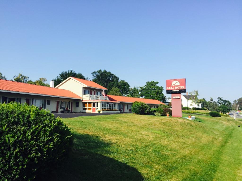 The Gull Motel, Belfast Eksteriør bilde