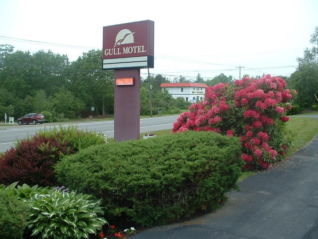 The Gull Motel, Belfast Eksteriør bilde
